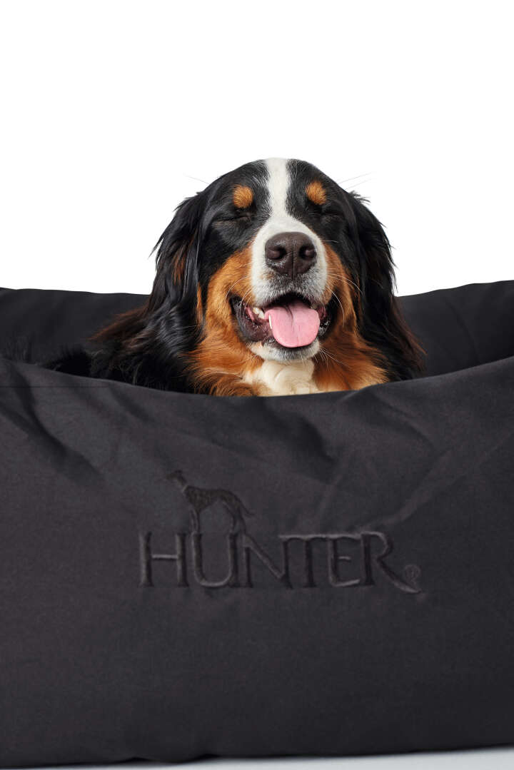 HUNTER Hundesofa Gent